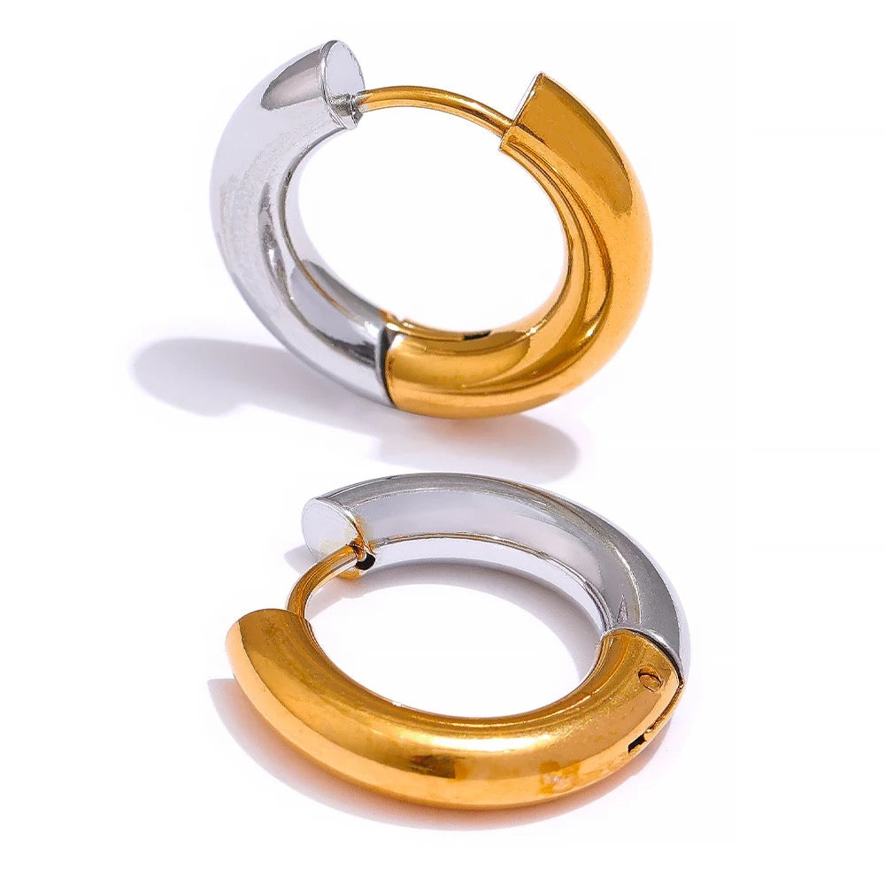 Gold and Silver Hoops